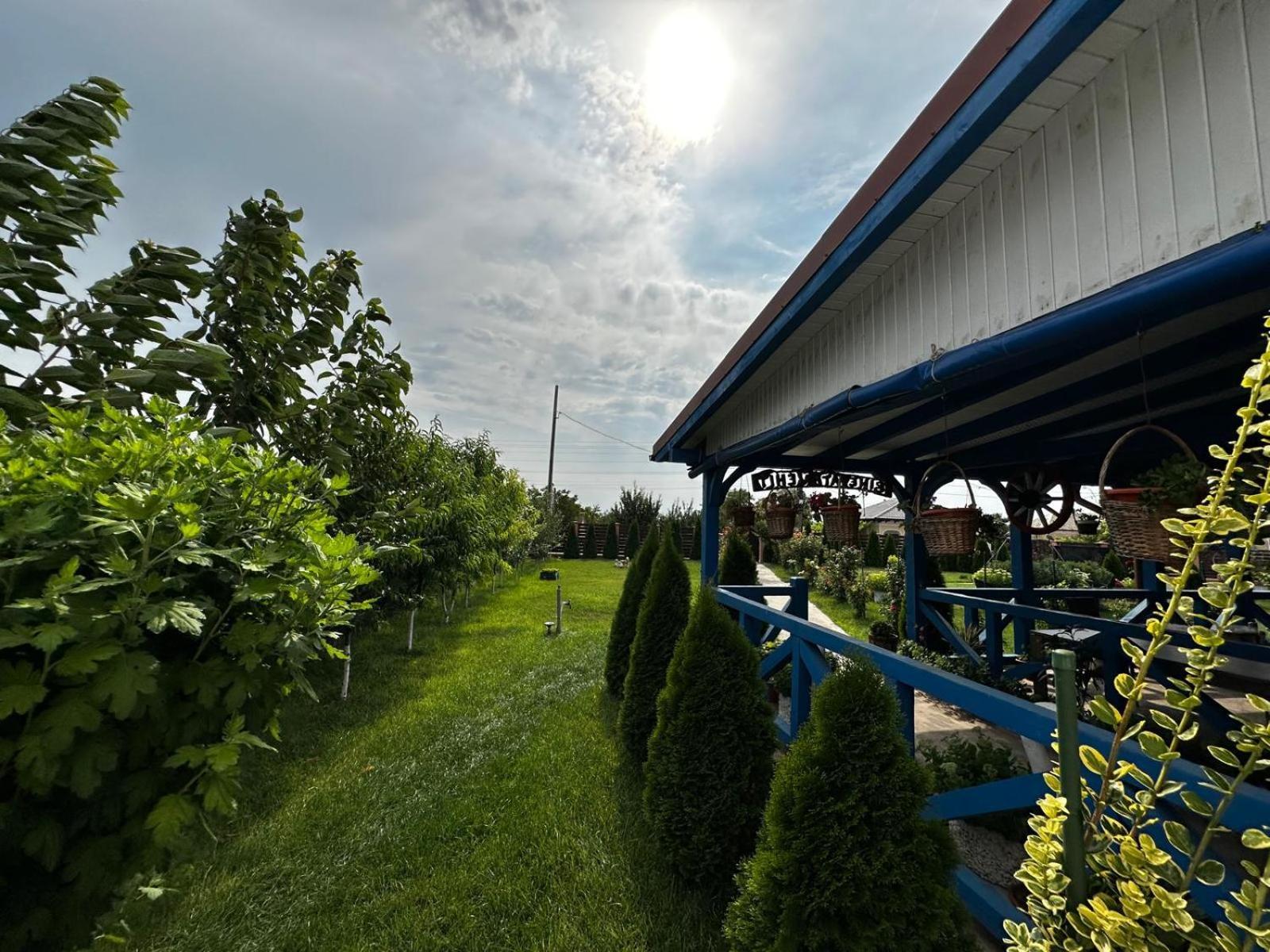 Agropensiuea Casa Uncu Hotel Murighiol Exterior photo